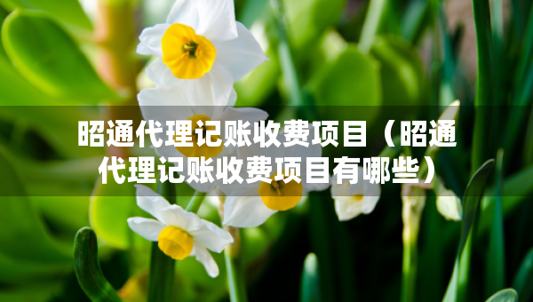 昭通代理記賬收費(fèi)項(xiàng)目（昭通代理記賬收費(fèi)項(xiàng)目有哪些）
