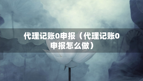 代理記賬0申報（代理記賬0申報怎么做）