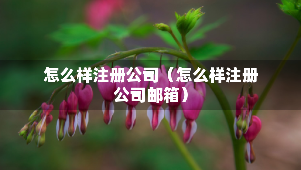怎么樣注冊公司（怎么樣注冊公司郵箱）