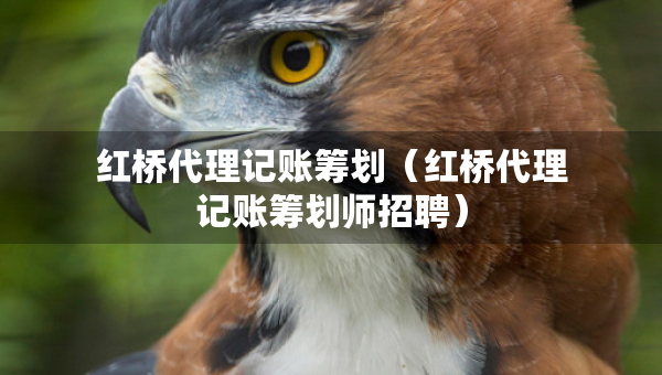 紅橋代理記賬籌劃（紅橋代理記賬籌劃師招聘）