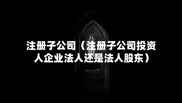 注冊子公司（注冊子公司投資人企業(yè)法人還是法人股東）