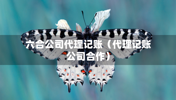 六合公司代理記賬（代理記賬公司合作）