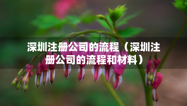 深圳注冊公司的流程（深圳注冊公司的流程和材料）