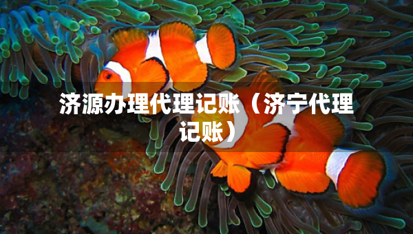 濟(jì)源辦理代理記賬（濟(jì)寧代理記賬）