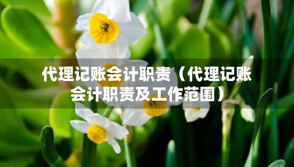 代理記賬會(huì)計(jì)職責(zé)（代理記賬會(huì)計(jì)職責(zé)及工作范圍）