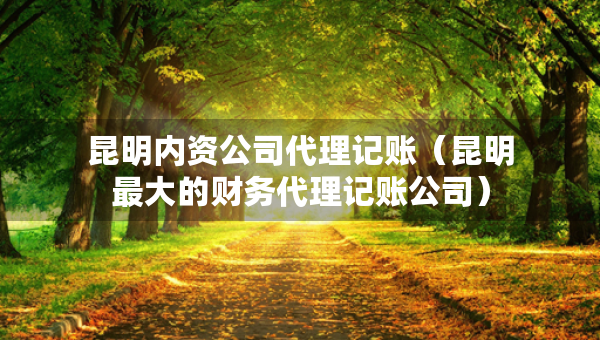 昆明內(nèi)資公司代理記賬（昆明最大的財務(wù)代理記賬公司）