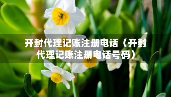 開(kāi)封代理記賬注冊(cè)電話（開(kāi)封代理記賬注冊(cè)電話號(hào)碼）