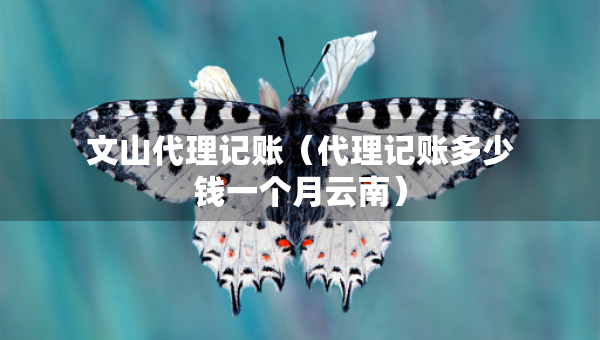 文山代理記賬（代理記賬多少錢(qián)一個(gè)月云南）
