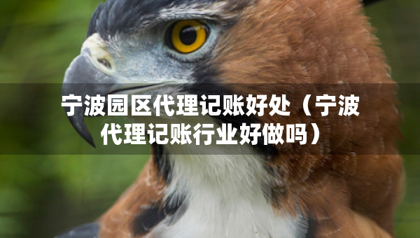 寧波園區(qū)代理記賬好處（寧波代理記賬行業(yè)好做嗎）