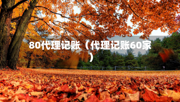 80代理記賬（代理記賬60家）