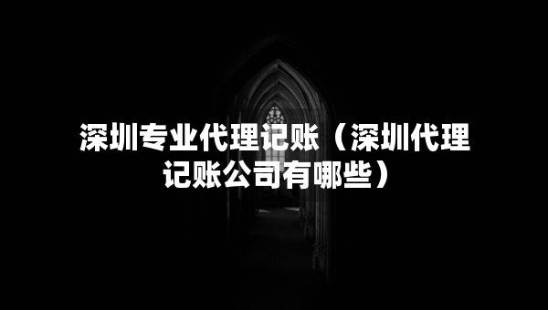 深圳專業(yè)代理記賬（深圳代理記賬公司有哪些）