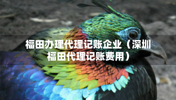 福田辦理代理記賬企業(yè)（深圳福田代理記賬費(fèi)用）