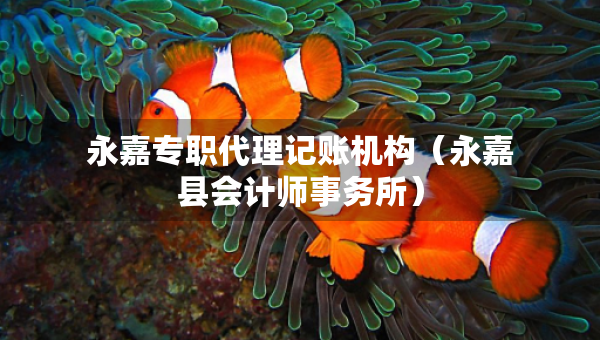永嘉專職代理記賬機構（永嘉縣會計師事務所）