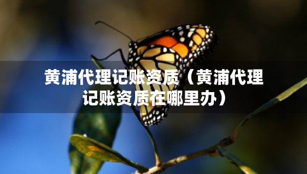 黃浦代理記賬資質(zhì)（黃浦代理記賬資質(zhì)在哪里辦）