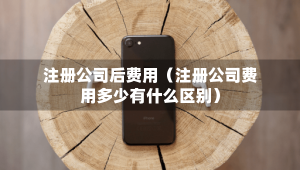 注冊(cè)公司后費(fèi)用（注冊(cè)公司費(fèi)用多少有什么區(qū)別）