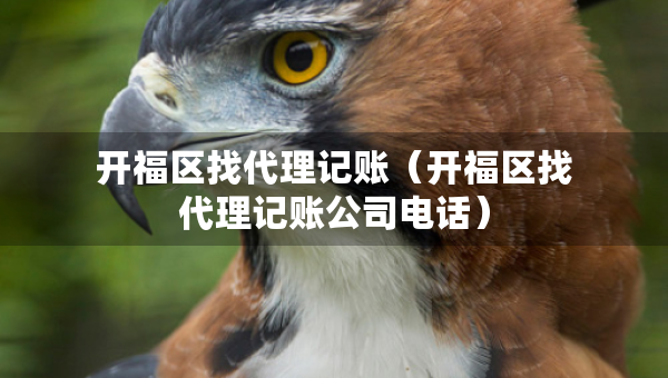 開福區(qū)找代理記賬（開福區(qū)找代理記賬公司電話）