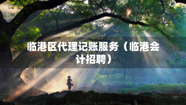 臨港區(qū)代理記賬服務(wù)（臨港會(huì)計(jì)招聘）