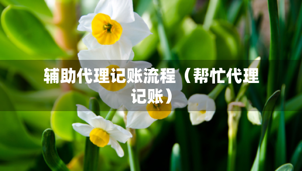 輔助代理記賬流程（幫忙代理記賬）