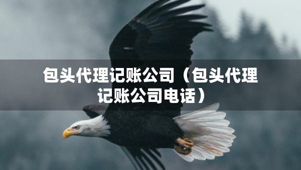 包頭代理記賬公司（包頭代理記賬公司電話）
