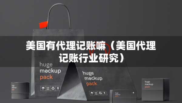 美國(guó)有代理記賬嘛（美國(guó)代理記賬行業(yè)研究）