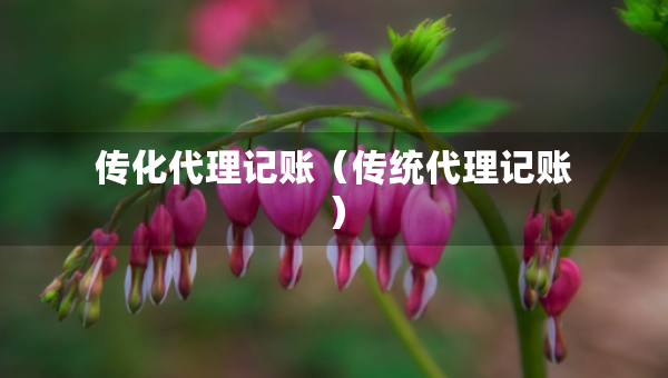傳化代理記賬（傳統(tǒng)代理記賬）