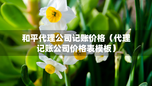 和平代理公司記賬價(jià)格（代理記賬公司價(jià)格表模板）
