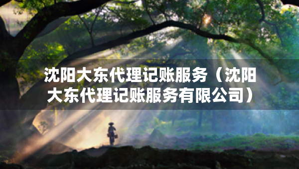 沈陽(yáng)大東代理記賬服務(wù)（沈陽(yáng)大東代理記賬服務(wù)有限公司）