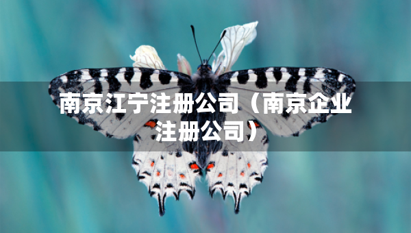 南京江寧注冊(cè)公司（南京企業(yè)注冊(cè)公司）