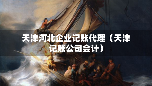 天津河北企業(yè)記賬代理（天津記賬公司會(huì)計(jì)）