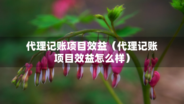 代理記賬項(xiàng)目效益（代理記賬項(xiàng)目效益怎么樣）
