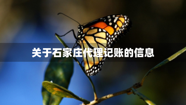 關(guān)于石家莊代理記賬的信息