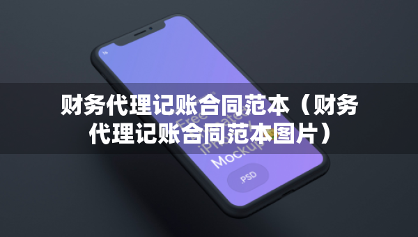 財(cái)務(wù)代理記賬合同范本（財(cái)務(wù)代理記賬合同范本圖片）
