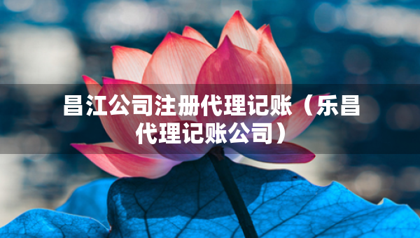 昌江公司注冊(cè)代理記賬（樂(lè)昌代理記賬公司）