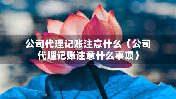 公司代理記賬注意什么（公司代理記賬注意什么事項(xiàng)）