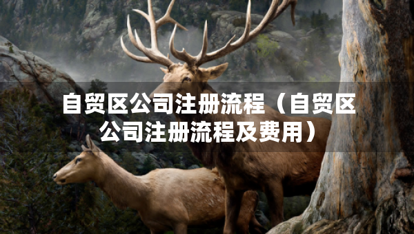 自貿(mào)區(qū)公司注冊流程（自貿(mào)區(qū)公司注冊流程及費用）