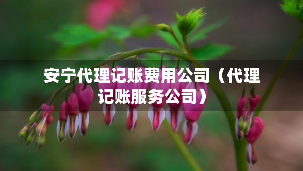 安寧代理記賬費用公司（代理記賬服務(wù)公司）