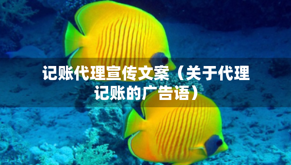 記賬代理宣傳文案（關(guān)于代理記賬的廣告語）