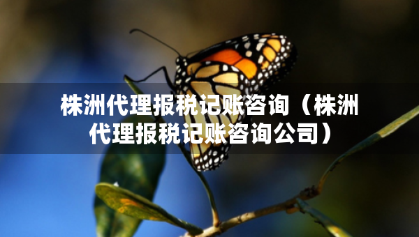 株洲代理報(bào)稅記賬咨詢（株洲代理報(bào)稅記賬咨詢公司）