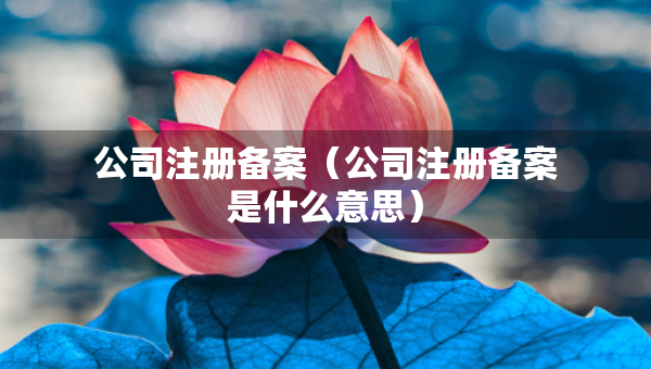 公司注冊備案（公司注冊備案是什么意思）