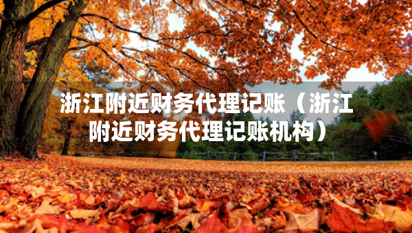 浙江附近財務(wù)代理記賬（浙江附近財務(wù)代理記賬機(jī)構(gòu)）