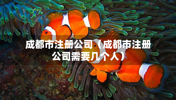 成都市注冊公司（成都市注冊公司需要幾個(gè)人）