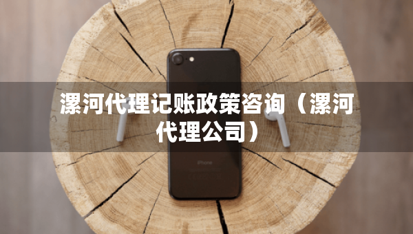 漯河代理記賬政策咨詢（漯河代理公司）
