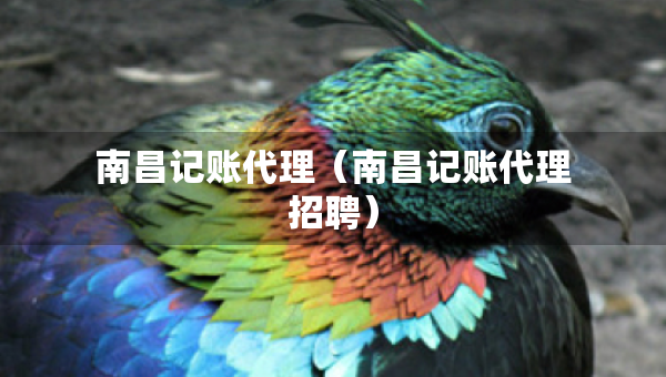 南昌記賬代理（南昌記賬代理招聘）