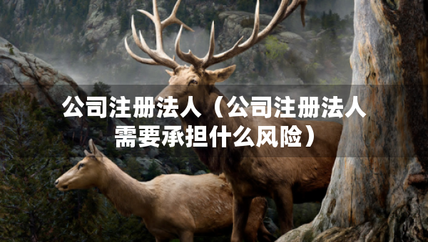 公司注冊法人（公司注冊法人需要承擔什么風險）