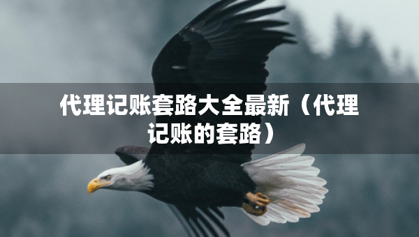 代理記賬套路大全最新（代理記賬的套路）