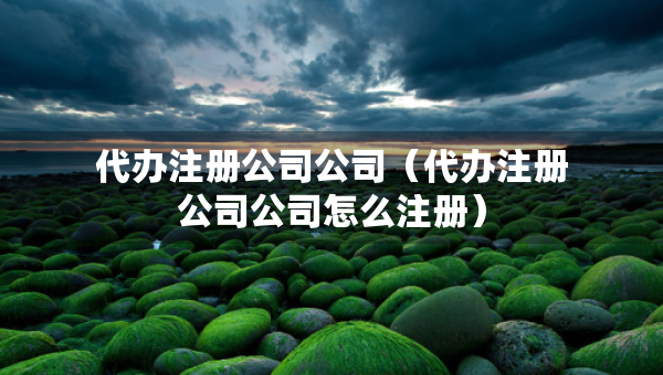 代辦注冊(cè)公司公司（代辦注冊(cè)公司公司怎么注冊(cè)）