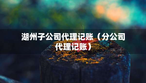 湖州子公司代理記賬（分公司代理記賬）