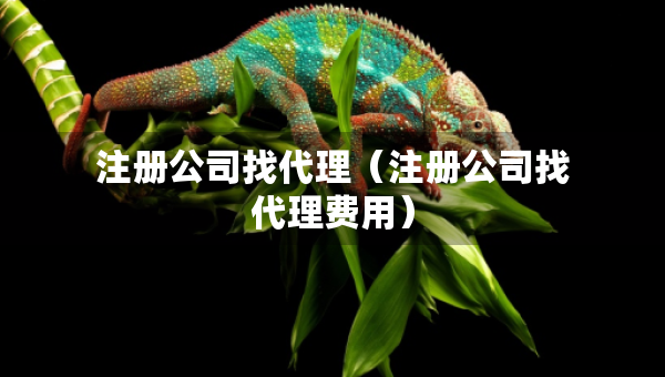注冊(cè)公司找代理（注冊(cè)公司找代理費(fèi)用）