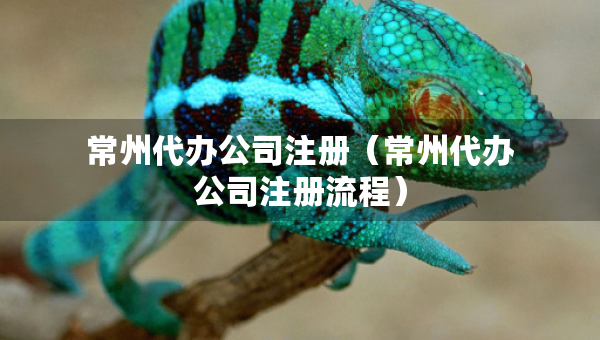 常州代辦公司注冊（常州代辦公司注冊流程）