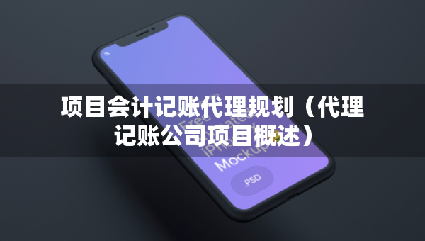 項目會計記賬代理規(guī)劃（代理記賬公司項目概述）